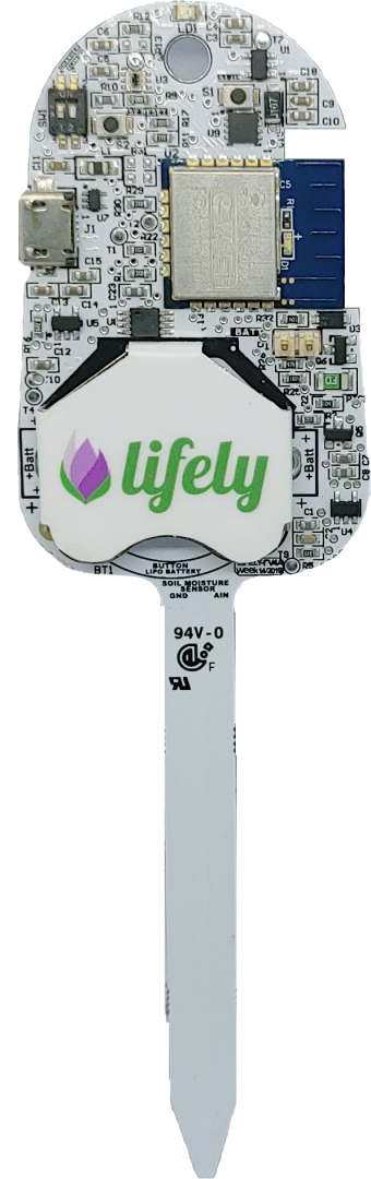 lifely_vector
