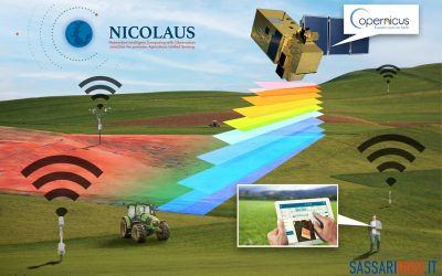 Agricoltura 4.0: vi presentiamo il progetto Nicolaus, innovativo e sostenibile.