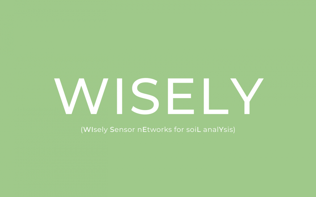 Wisely