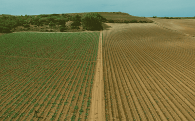 Regenerative agriculture and low-cost technologies
