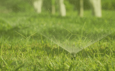 How to interpret your field’s water data: the 4 key parameters